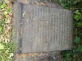image of grave number 617225